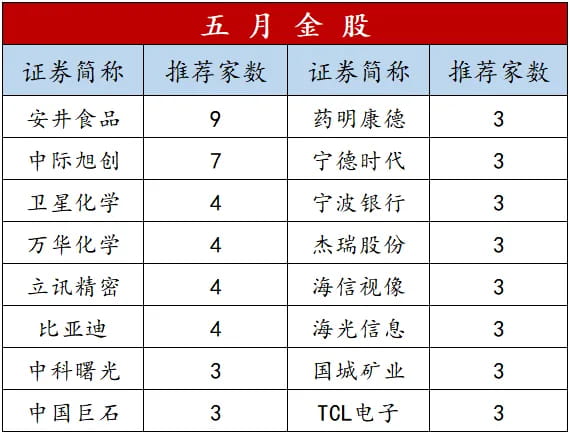 5月的金股